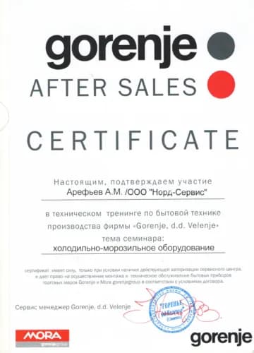 Арефьев Александр: Сертификат Gorenje